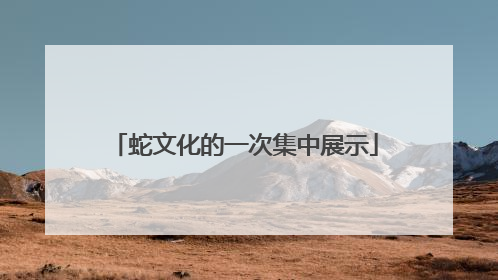 蛇文化的一次集中展示