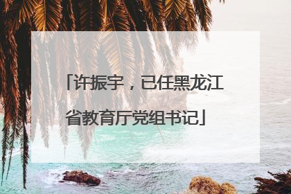 许振宇，已任黑龙江省教育厅党组书记