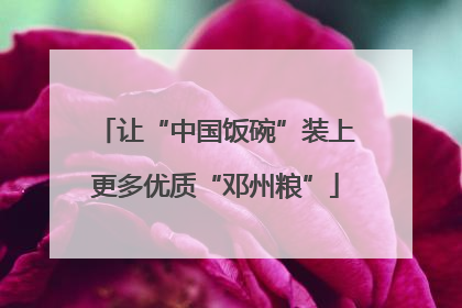 让“中国饭碗”装上更多优质“邓州粮”