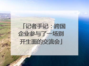 记者手记：跨国企业参与了一场别开生面的交流会