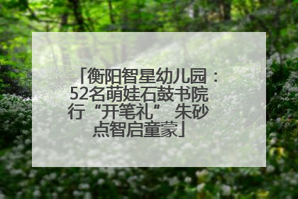 衡阳智星幼儿园：52名萌娃石鼓书院行“开笔礼” 朱砂点智启童蒙