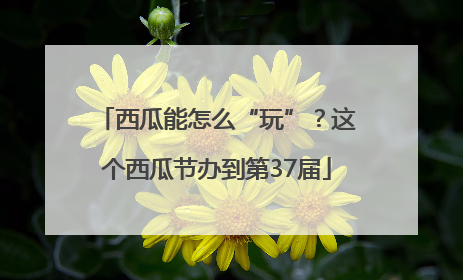 西瓜能怎么“玩”？这个西瓜节办到第37届