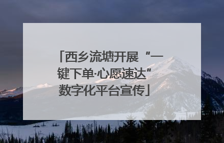 西乡流塘开展“一键下单·心愿速达”数字化平台宣传