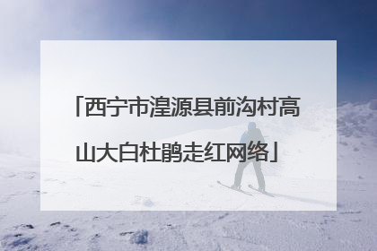 西宁市湟源县前沟村高山大白杜鹃走红网络