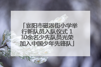 襄阳市磁器街小学举行新队员入队仪式 130余名少先队员光荣加入中国少年先锋队