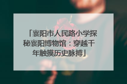 襄阳市人民路小学探秘襄阳博物馆：穿越千年触摸历史脉搏