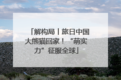 解构局丨旅日中国大熊猫回家！“萌实力”征服全球