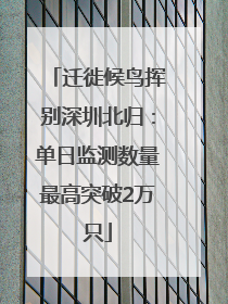 迁徙候鸟挥别深圳北归：单日监测数量最高突破2万只