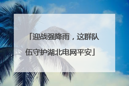 迎战强降雨，这群队伍守护湖北电网平安