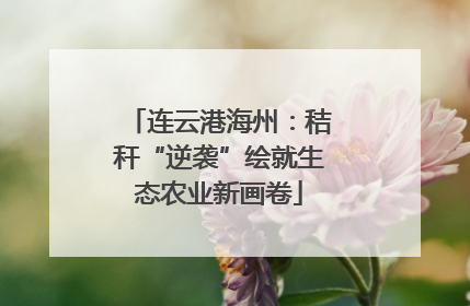 连云港海州：秸秆“逆袭”绘就生态农业新画卷