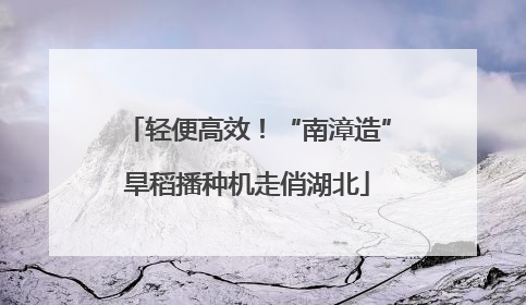 轻便高效！“南漳造”旱稻播种机走俏湖北