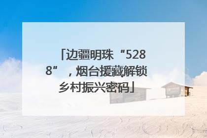 边疆明珠“5288”，烟台援藏解锁乡村振兴密码