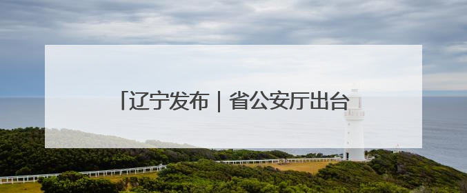 辽宁发布｜省公安厅出台15项举措助力全面振兴新突破三年行动决胜之战