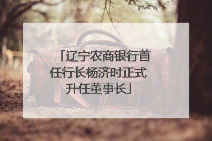辽宁农商银行首任行长杨济时正式升任董事长