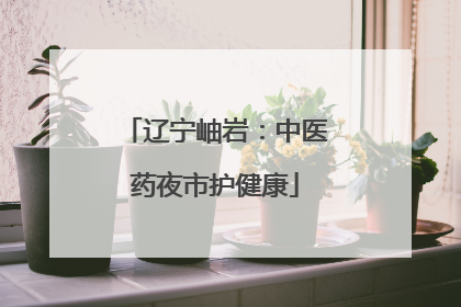 辽宁岫岩：中医药夜市护健康