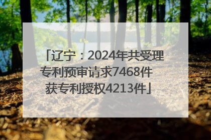 辽宁：2024年共受理专利预审请求7468件 获专利授权4213件