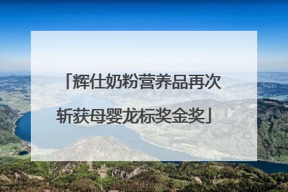 辉仕奶粉营养品再次斩获母婴龙标奖金奖