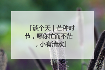 谈个天｜芒种时节，愿你忙而不茫，小有清欢