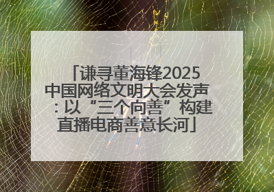 谦寻董海锋2025中国网络文明大会发声：以“三个向善”构建直播电商善意长河