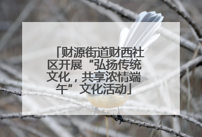 财源街道财西社区开展“弘扬传统文化，共享浓情端午”文化活动