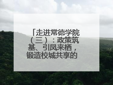 走进常德学院（三）：政策筑基、引凤来栖，锻造校城共享的“双师铁军”