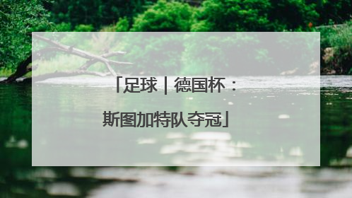 足球｜德国杯：斯图加特队夺冠