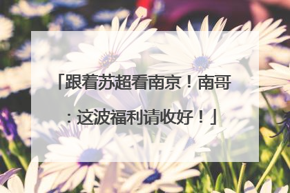 跟着苏超看南京！南哥：这波福利请收好！