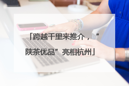 跨越千里来推介，“陕茶优品”亮相杭州