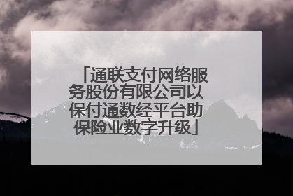 通联支付网络服务股份有限公司以保付通数经平台助保险业数字升级