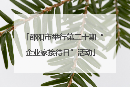 邵阳市举行第三十期“企业家接待日”活动