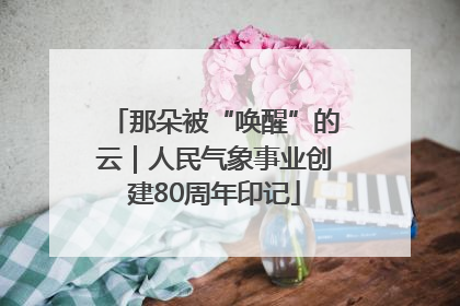那朵被“唤醒”的云｜人民气象事业创建80周年印记