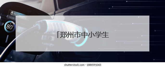 郑州市中小学生荷球锦标赛落幕