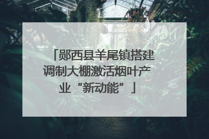 郧西县羊尾镇搭建调制大棚激活烟叶产业“新动能”