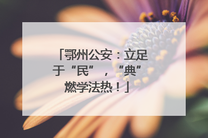 鄂州公安：立足于“民”，“典”燃学法热！