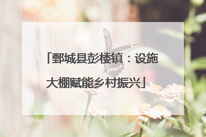 鄄城县彭楼镇：设施大棚赋能乡村振兴