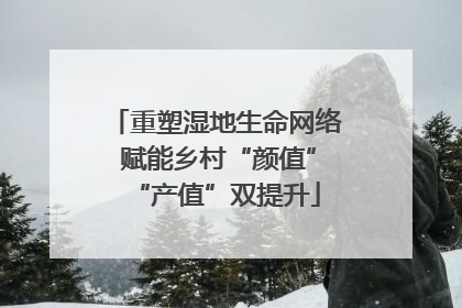 重塑湿地生命网络 赋能乡村“颜值”“产值”双提升