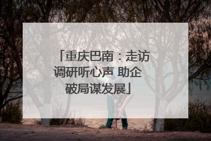 重庆巴南：走访调研听心声 助企破局谋发展