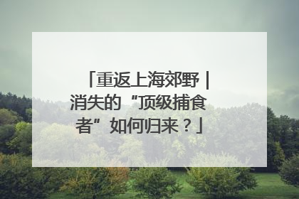 重返上海郊野｜消失的“顶级捕食者”如何归来？