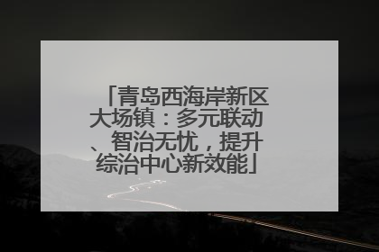 青岛西海岸新区大场镇：多元联动、智治无忧，提升综治中心新效能
