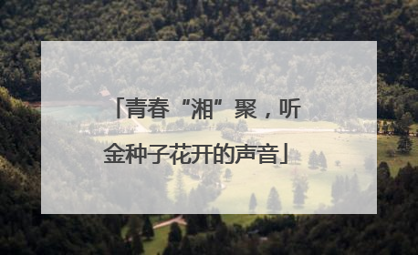 青春“湘”聚，听金种子花开的声音
