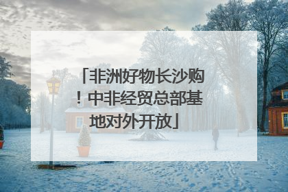 非洲好物长沙购！中非经贸总部基地对外开放