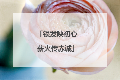 银发映初心 薪火传赤诚