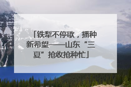 铁犁不停歇，播种新希望——山东“三夏”抢收抢种忙