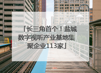 长三角首个！盐城数字视听产业基地集聚企业113家