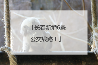 长春新增6条公交线路！