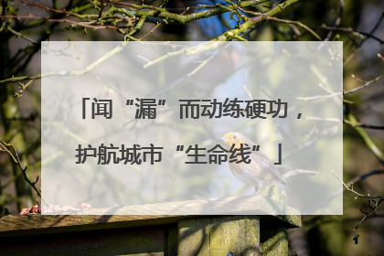 闻“漏”而动练硬功，护航城市“生命线”