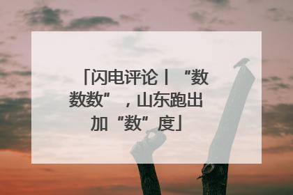 闪电评论丨“数数数”，山东跑出加“数”度