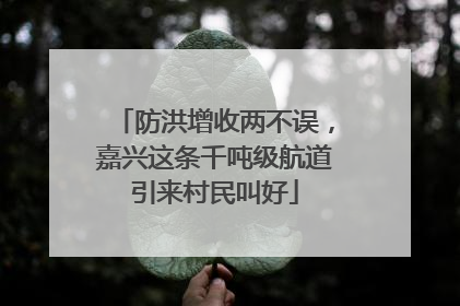 防洪增收两不误，嘉兴这条千吨级航道引来村民叫好