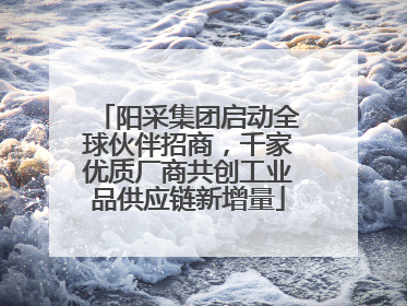 阳采集团启动全球伙伴招商，千家优质厂商共创工业品供应链新增量