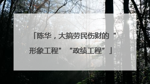 陈华，大搞劳民伤财的“形象工程”“政绩工程”